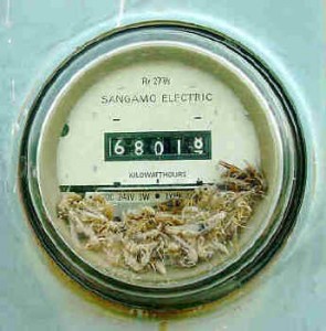electric-meter electric-meter