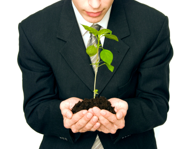plant-startup