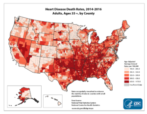 fs_heart_disease-300x232.png